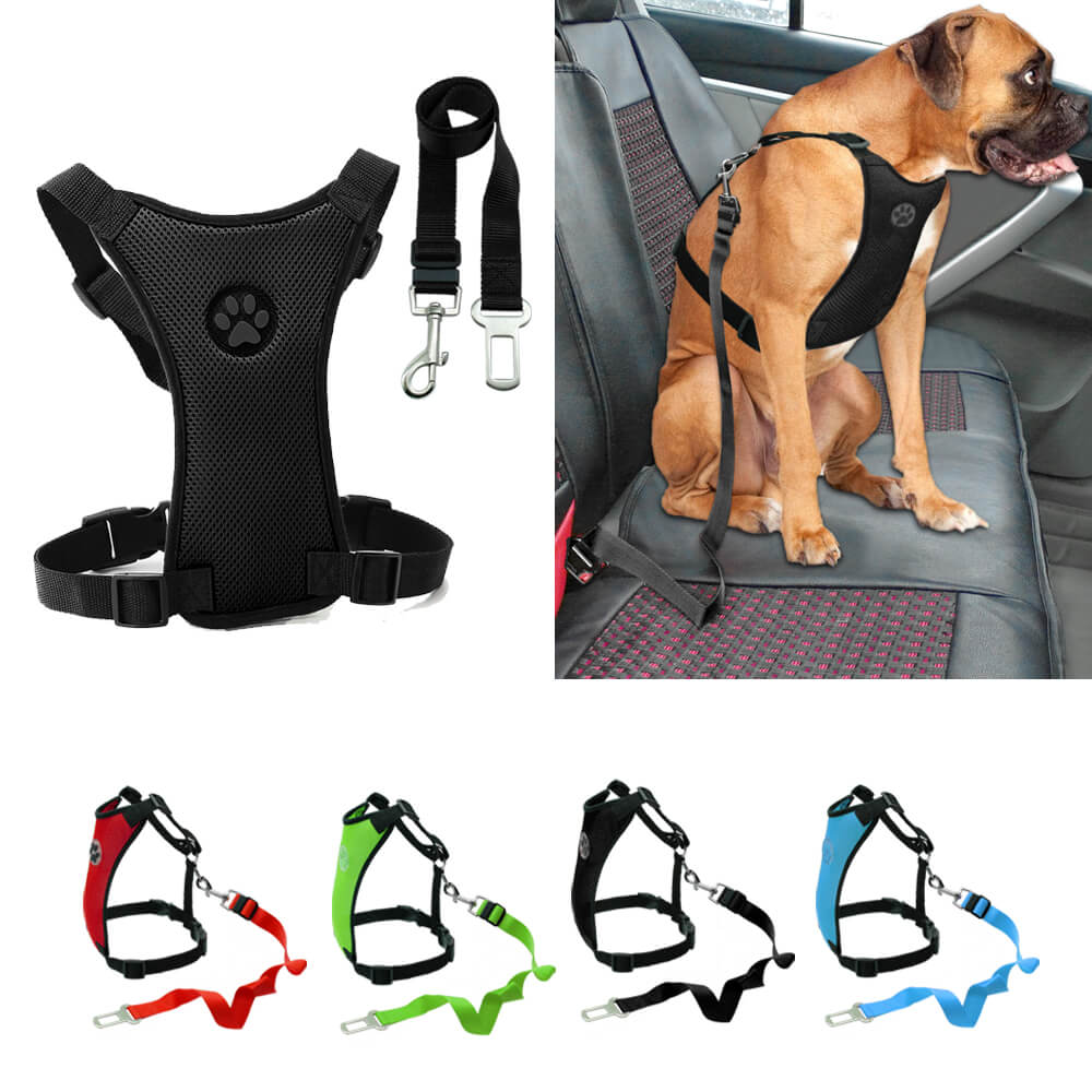 seat belt harness for dogs