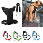 seat belt harness for dogs