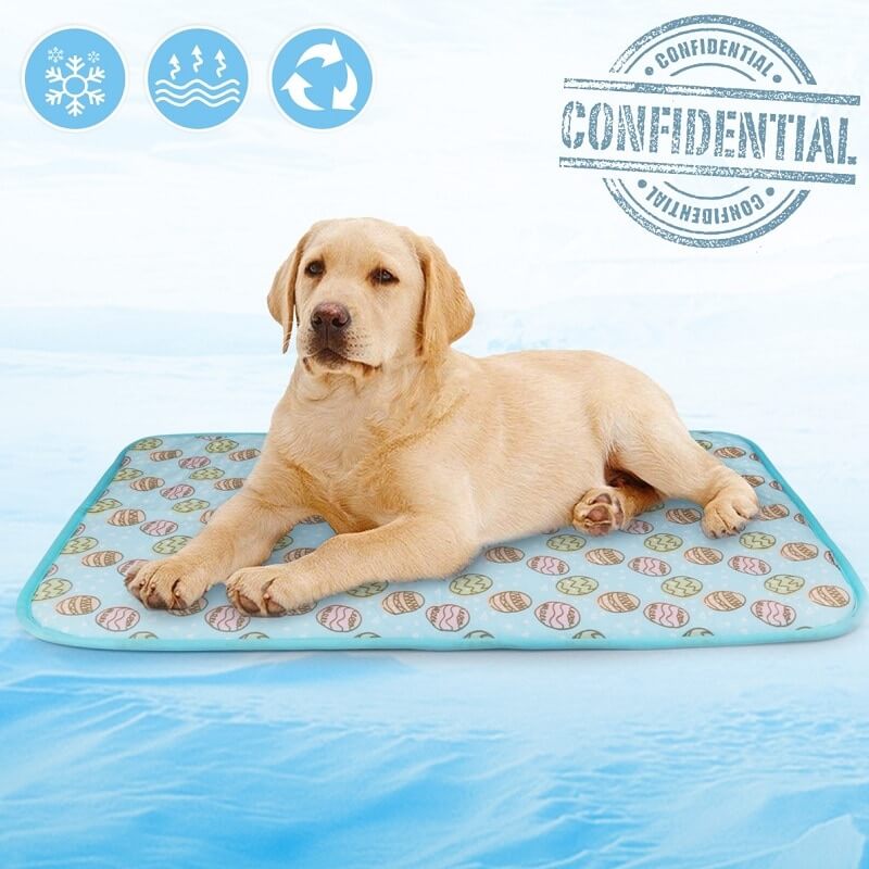 large dog training pads