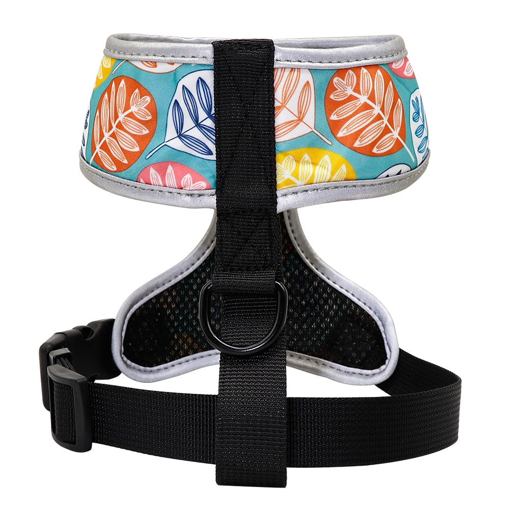 Perfect Stylish Design Dog Cat Harness 2020