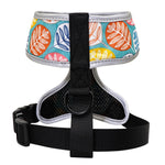 Perfect Stylish Design Dog Cat Harness 2020