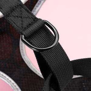 Perfect Stylish Design Dog Cat Harness 2020