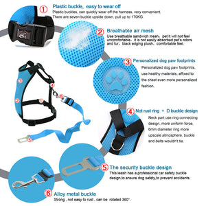 seat belt harness for dogs