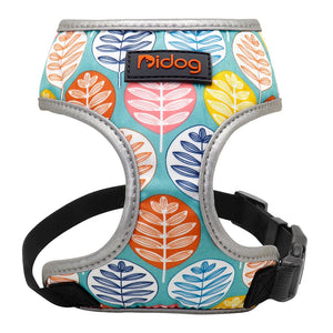 Perfect Stylish Design Dog Cat Harness 2020