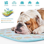 puppy training pads