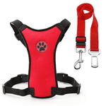 seat belt harness for dogs