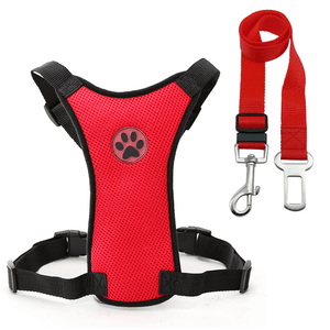 seat belt harness for dogs