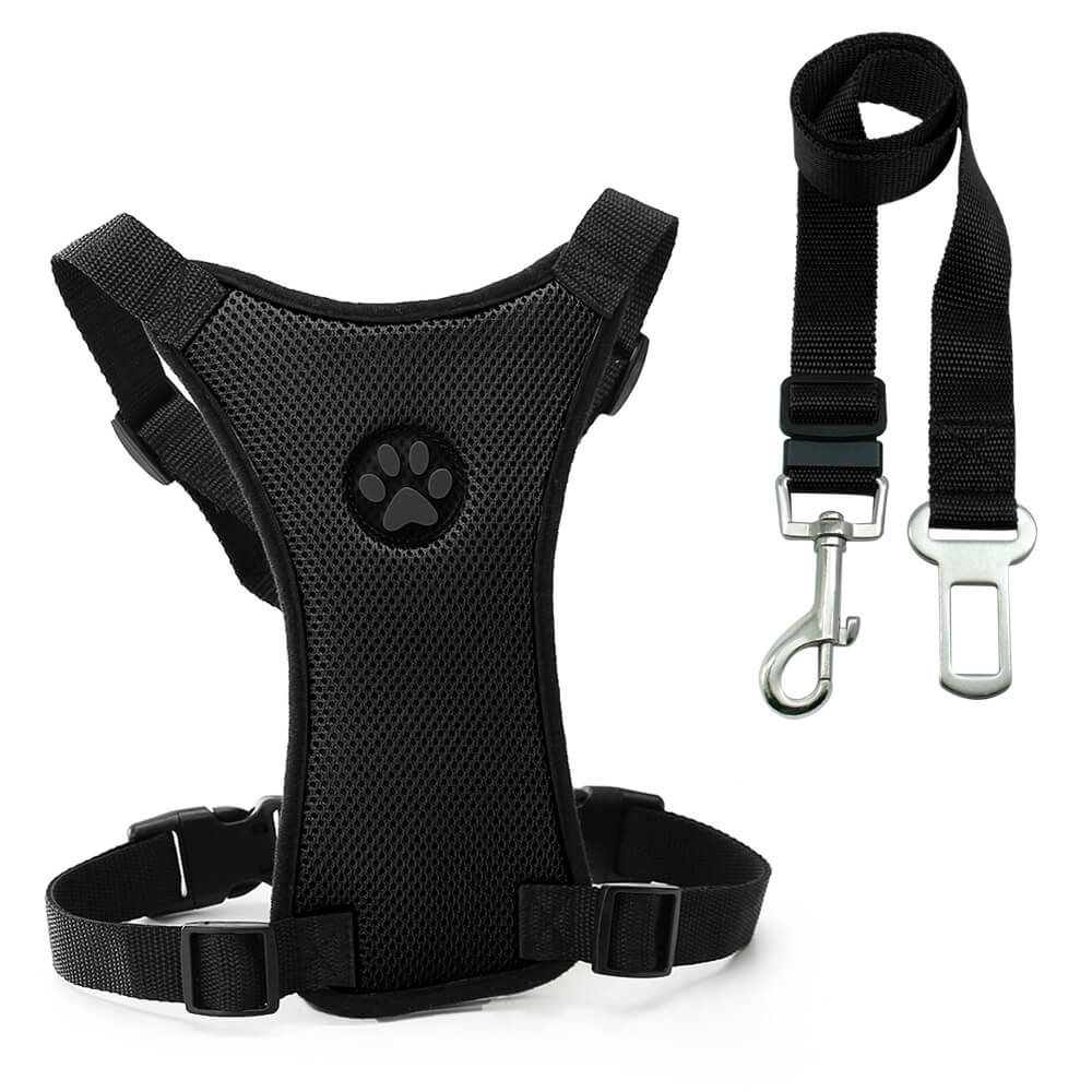 seat belt harness for dogs