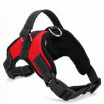 No-Pull Dog Harness, Adjustable Harness for Dogs