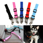 CAR SEAT BELT FOR DOG
