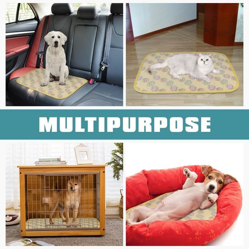 dog training pads
