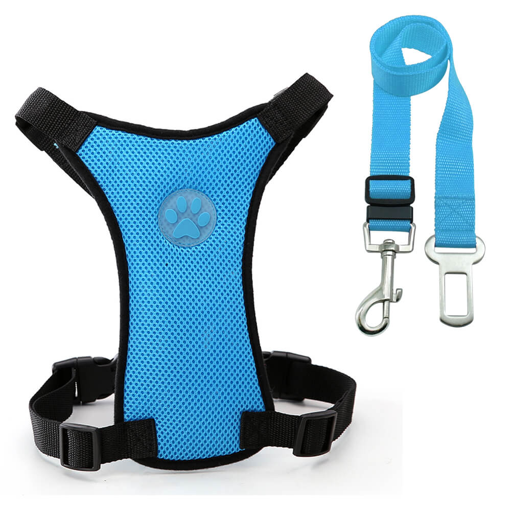 seat belt harness for dogs