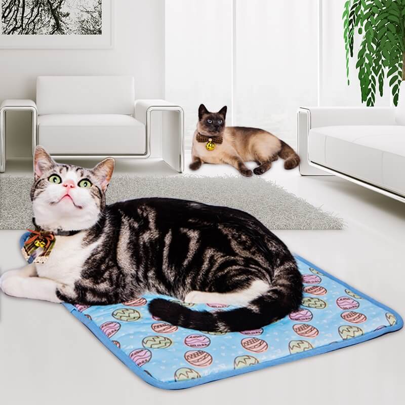 cat pads