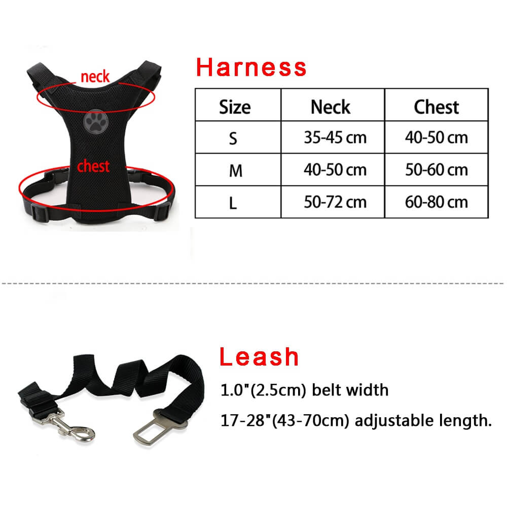 seat belt harness for dogs