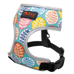 Perfect Stylish Design Dog Cat Harness 2020