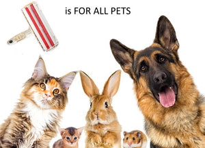Pet Hair Remover Roller