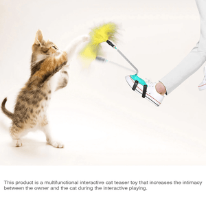 Antidepressant toy for cats 2021