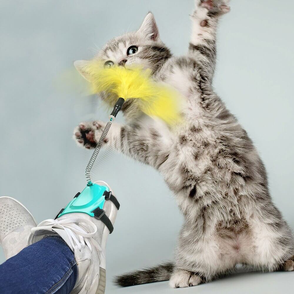 Antidepressant toy for cats 2021