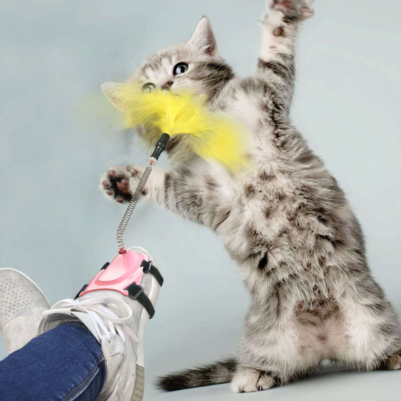 Antidepressant toy for cats 2021