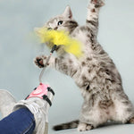 Antidepressant toy for cats 2021