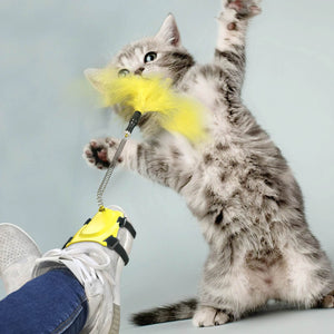 Antidepressant toy for cats 2021