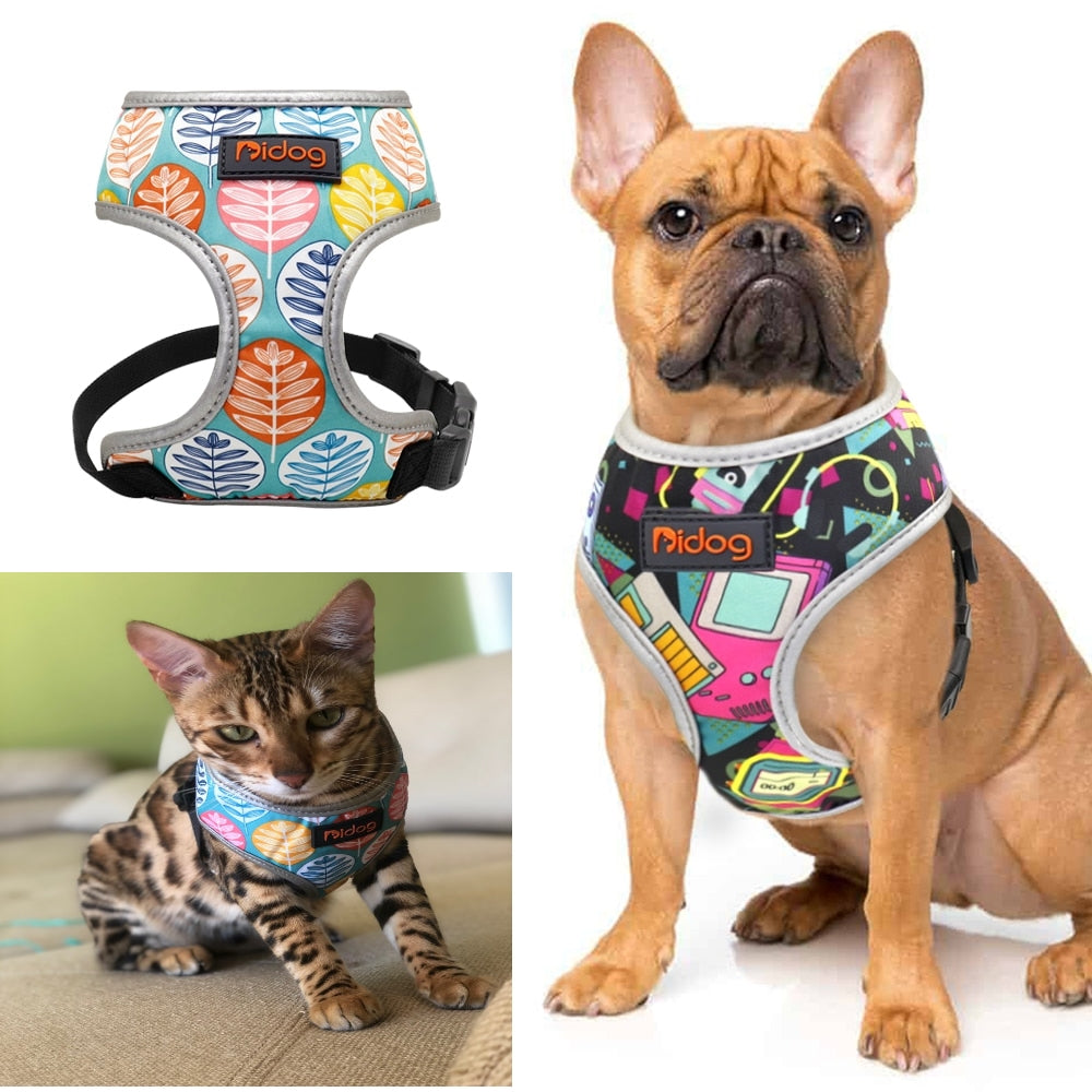 Perfect Stylish Design Dog Cat Harness 2020