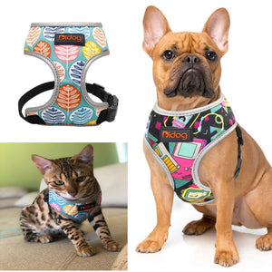 Perfect Stylish Design Dog Cat Harness 2020
