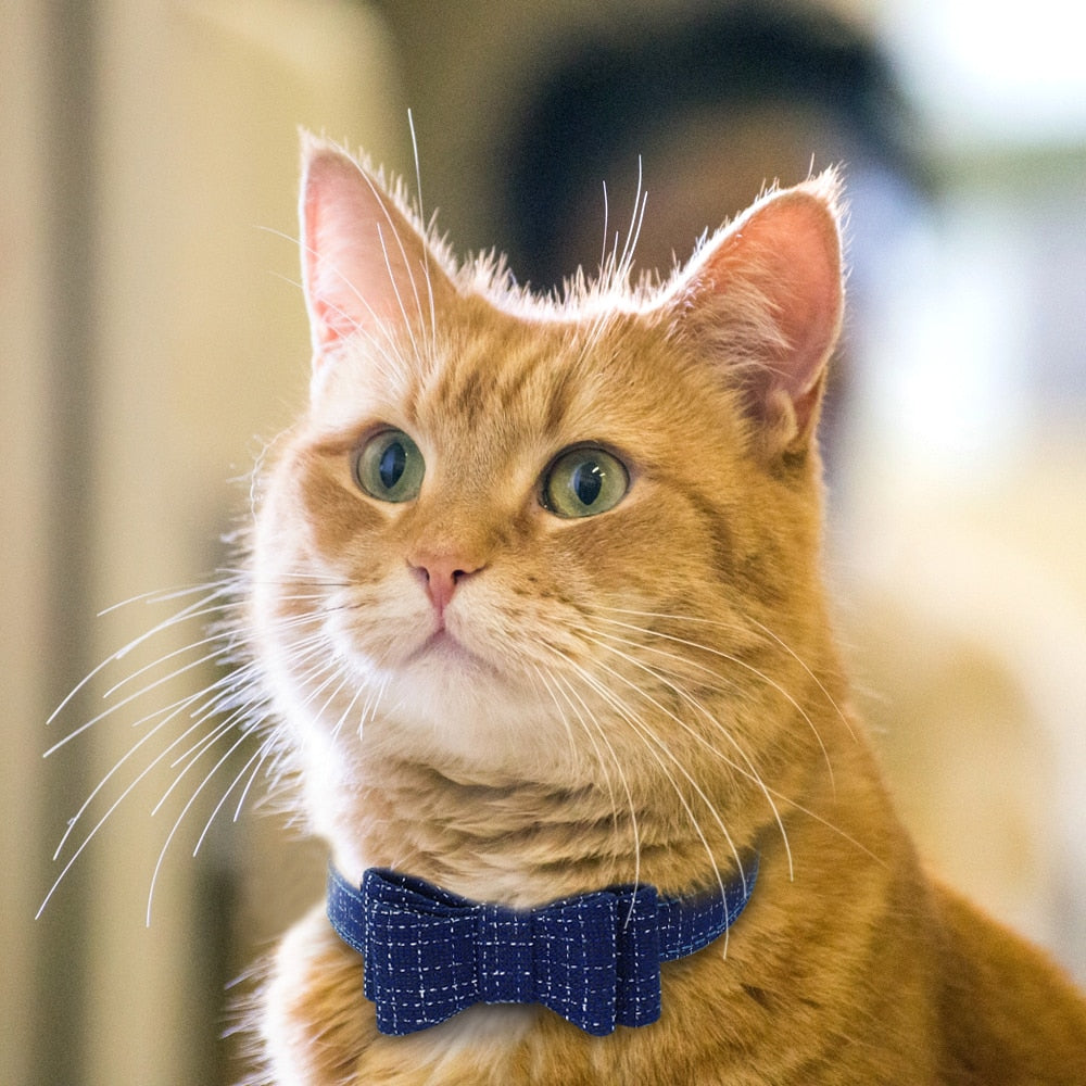 Adjustable Bowknot Pet Collar