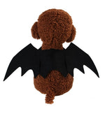New Halloween Cat  Vampire Black