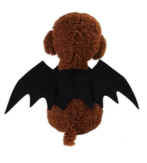 New Halloween Cat  Vampire Black