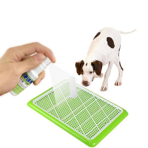 Pet Toilet Training Aid