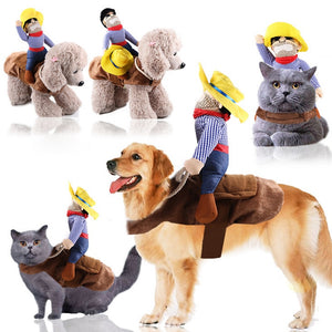 Clothes pet riding dress Halloween