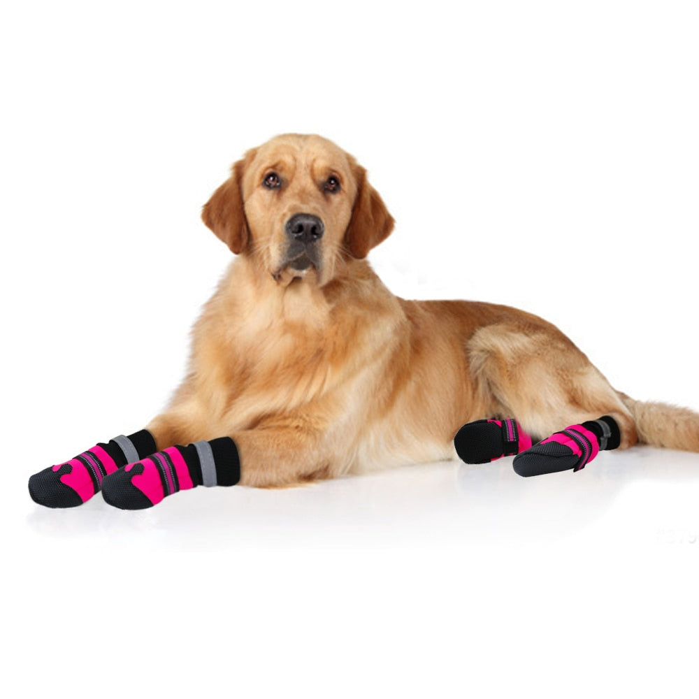 WATERPROOF WINTER DOG Shoes