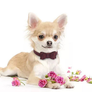 Adjustable Bowknot Pet Collar