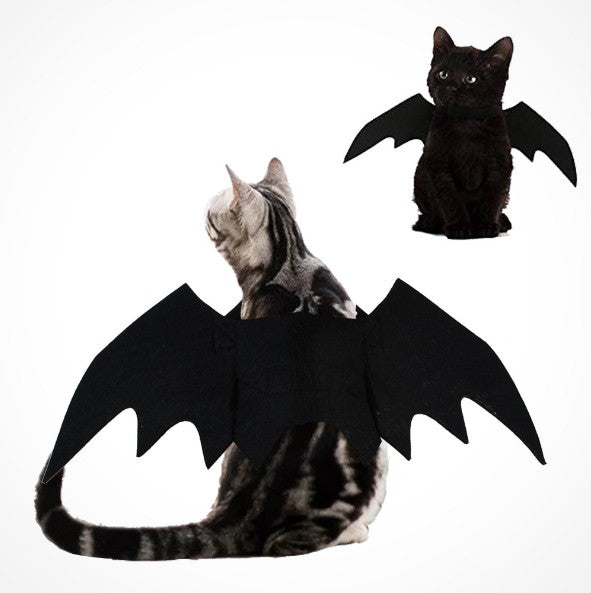 New Halloween Cat  Vampire Black