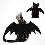New Halloween Cat  Vampire Black